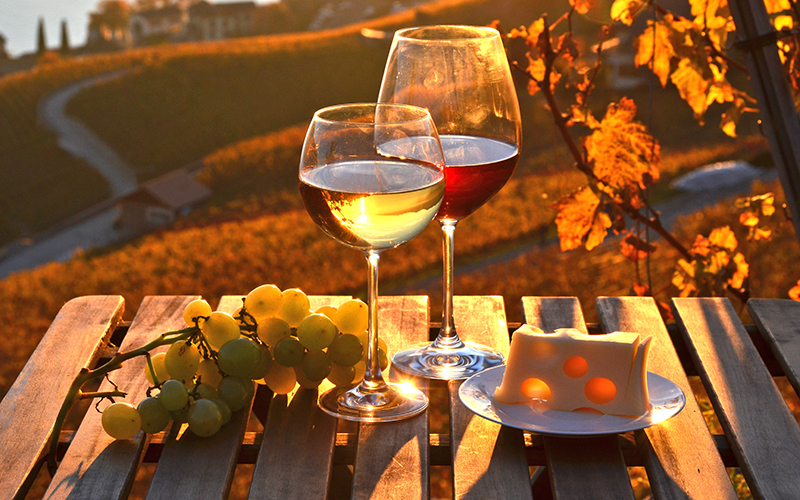 Wine Incentive Programs Full Bodied Fall Favoriteswines